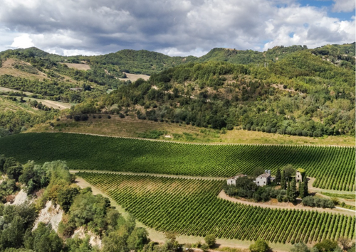 Poderi dal Nespoli