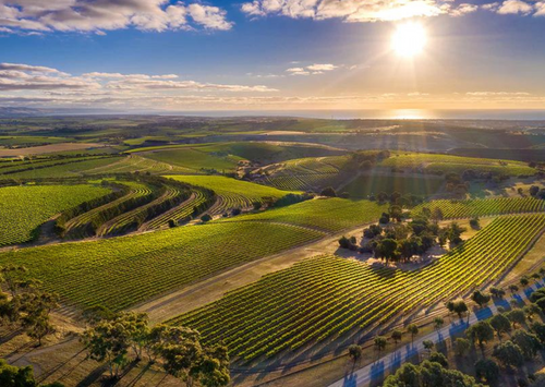 Willunga 100