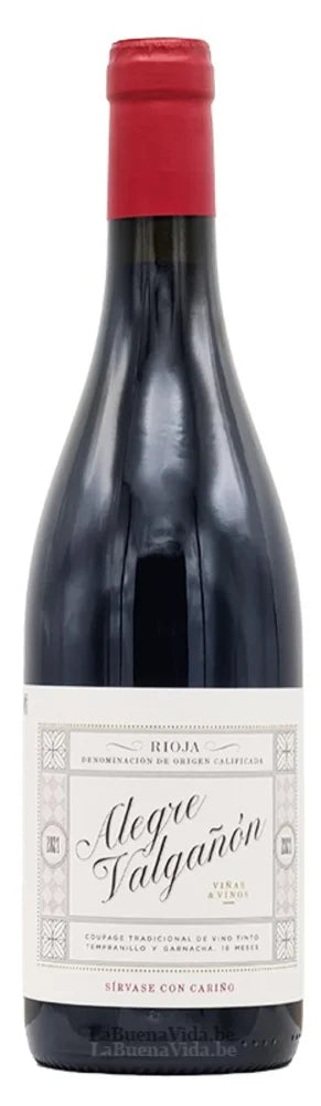 Alegre Valgañon Tinto